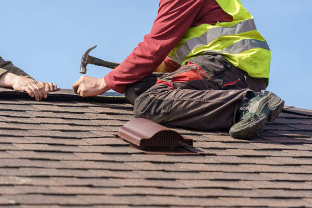 Best New Roof Installation  in Stony Point, MI