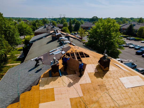 Quick and Trustworthy Emergency Roof Repair Services in Stony Point, MI