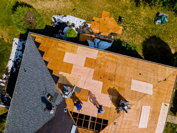 Best New Roof Installation  in Stony Point, MI