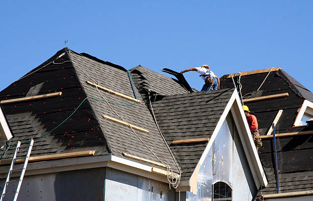 Best Roof Waterproofing Services  in Stony Point, MI