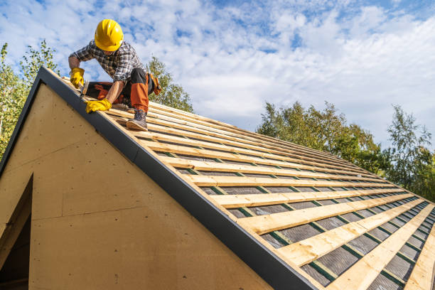 Best Roofing Contractor Near Me  in Stony Point, MI